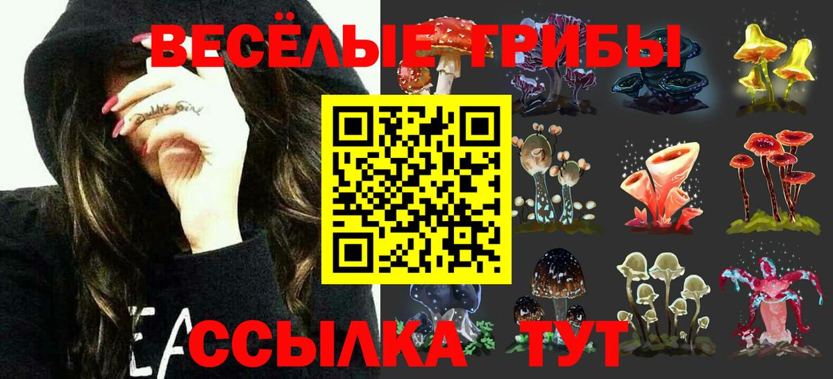 Галлюциногенные грибы ЛСД Орск