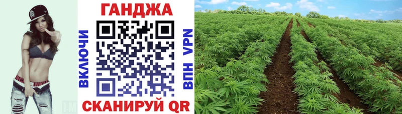 Конопля гибрид  даркнет Telegram  Орск 